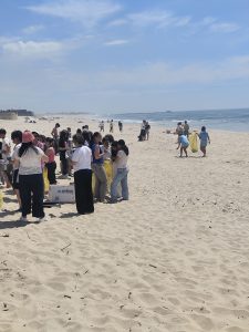 12-1- ação de plogging
