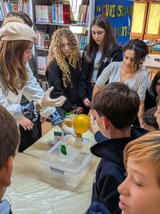 PXL_20251128_112443373.MP - Cópia