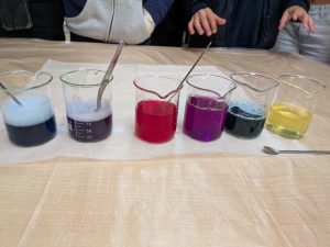 PXL_20251128_121105179 - Cópia