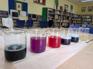 PXL_20251128_123435631