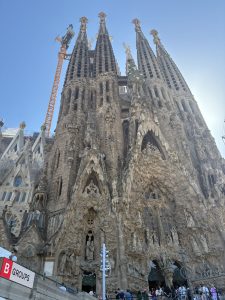IMG_1663