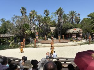 IMG_1949